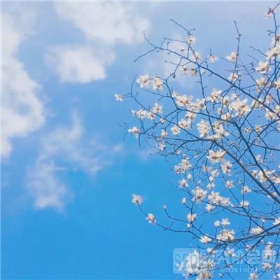 弈剑九州破解版手游下载