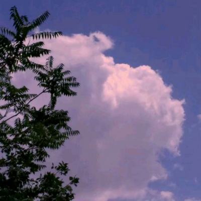 超变态传奇散人版超高爆率